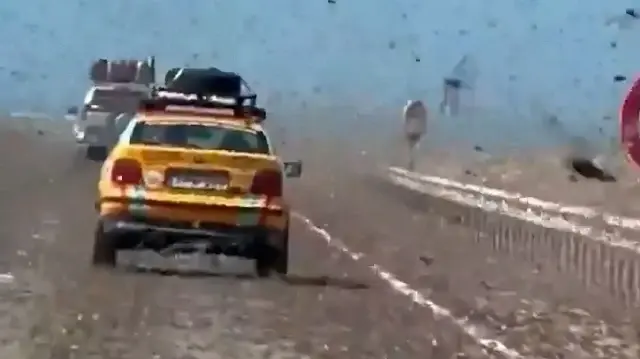 Fas’ta gerçeküstü manzara: Milyonlarca çekirge yolları istila etti