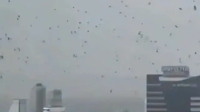 Felaketin habercisi olarak yorumlanan karga sürüsünün Tel Aviv üzerindeki uçuşu İsraillileri korkuttu