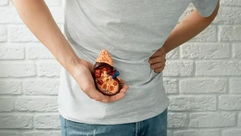 Her 10 kişiden birinde görülüyor: Böbrek taşında bu belirtilere dikkat