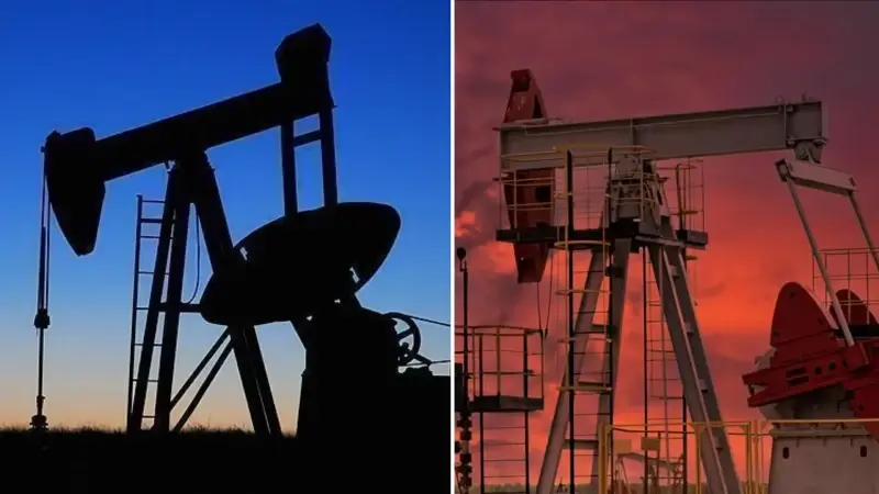 İki ilde petrol heyecanı: TPAO saha genişletme kararı alındı