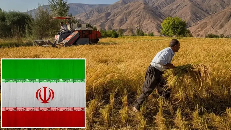 İran tüm gıda ve tarım ürünleri ihracatını yasakladı