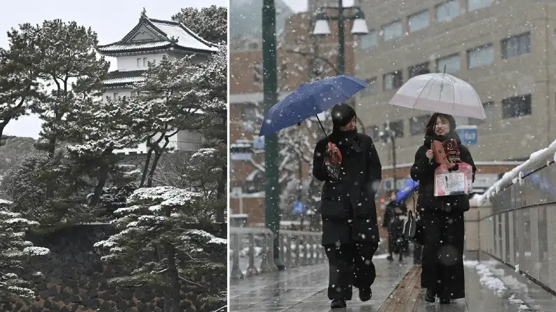 Japonya’da şiddetli kış şartlarından kaynaklanan can kayıplarının sayısı 46’ya yükseldi