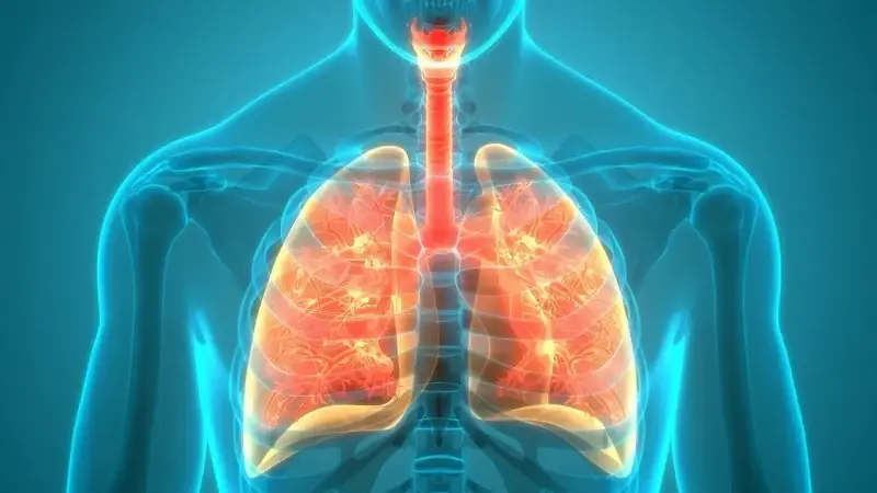 Kistik fibrozis hastalığının tanı ve takibine yönelik yeni yöntem araştırılıyor