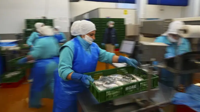 Su ürünleri sektörü 2026’da yeni rekor bekliyor