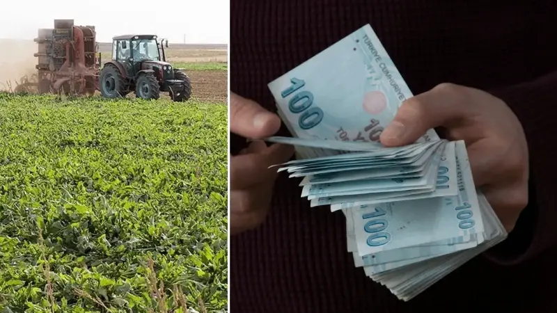 Tarım ve Orman Bakanı Yumaklı açıkladı: Çiftçilere 255,4 milyon lira tarımsal destekleme ödemesi bugün yapılacak