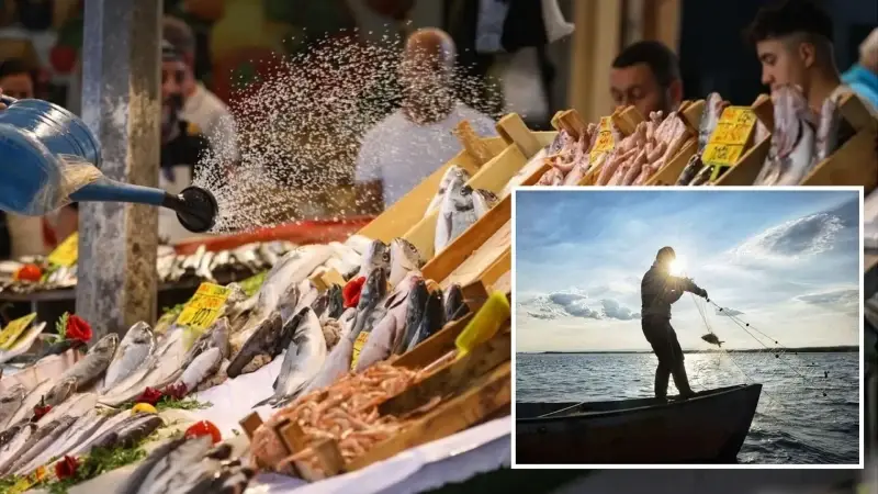 Tezgahların yeni kralı oldu: Kilosu 100 lira kapış kapış satılıyor