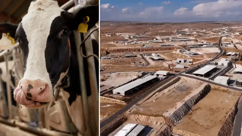 Türkiye’nin en büyüğü olacak: Şanlıurfa’ya 2 milyar liralık dev yatırım, yıllık 36 bin ton üretim yapılacak