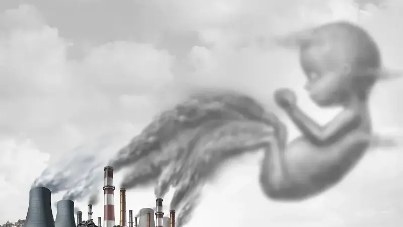 Uzmanı uyardı: Hava kirliliği üreme sağlığını olumsuz etkileyebilir