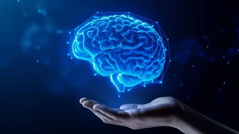 Uzmanından “sirkadiyen ritmin bozulması Alzheimer ve kronik hastalıklara zemin hazırlayabiliyor” uyarısı