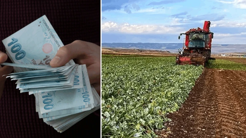 Bakan Yumaklı duyurdu: Yaklaşık 1,4 milyar lira tarımsal destekleme ödemesi bugün yapılacak