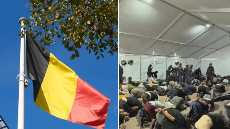 Belçika İsrail’den Sumud aktivistlerine şiddet için izahat istedi