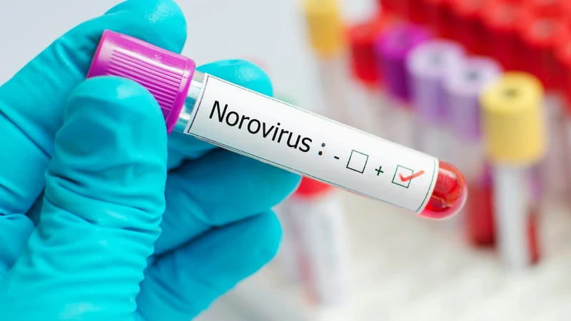 Çocuklarda ani kusma ve ishal norovirüsün habercisi olabilir