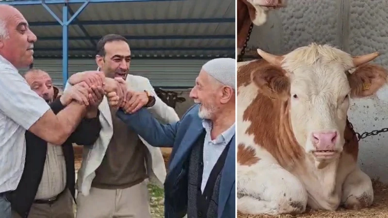 Kurban pazarında hareketlilik başladı