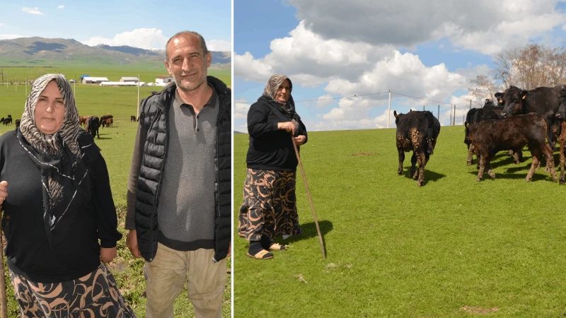 Muşlu dört çocuk annesinin başarı hikayesi: 15 inekle başladı, 9 ayda sürüsünü ikiye katladı