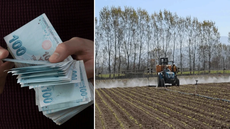 Üreticilere destek yağdı: Çiftçilere tarımsal destek bugün hesaplara yattı